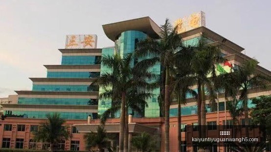电竞品牌联,手王者荣耀,新品发布会,开云体育,开云体育官网,开云体育app下载